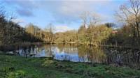 Hopwood walk 29 Nov 2017 - a peaceful spot at reservoirs near Boarshaw (Pic by John Pye)